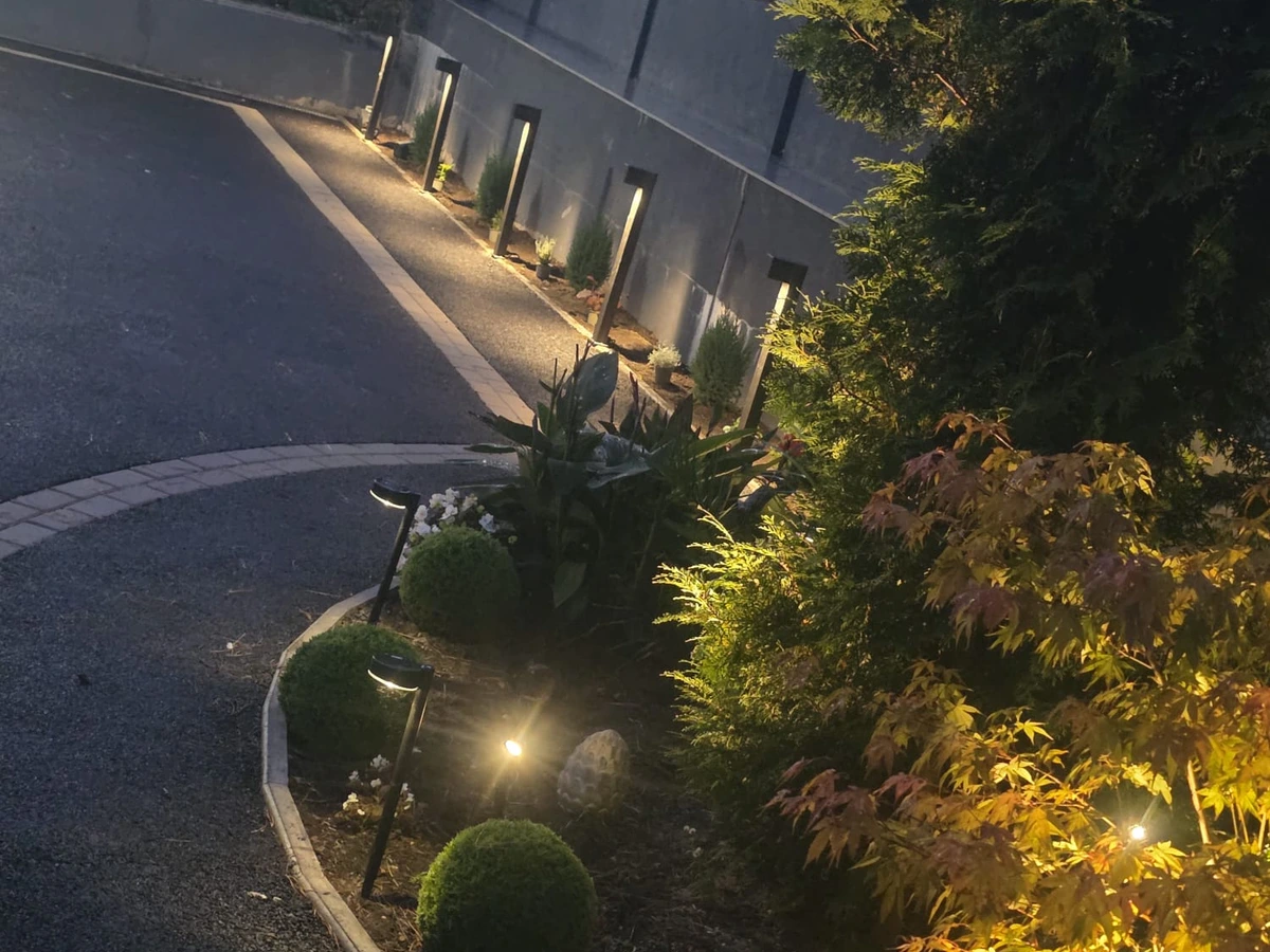 Outdoor bollard lights and garden spotlights illuminating a curved driveway and planted border